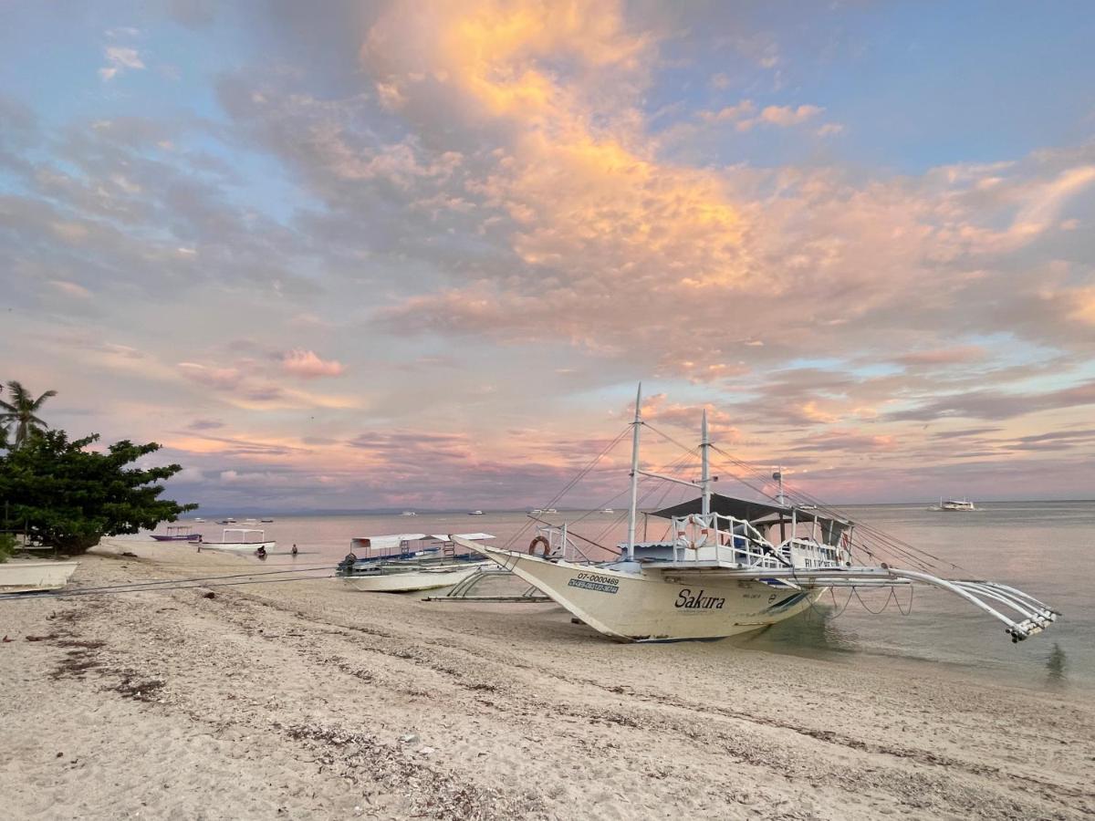 Daanbantayan Tribal Huts Communityホステル エクステリア 写真
