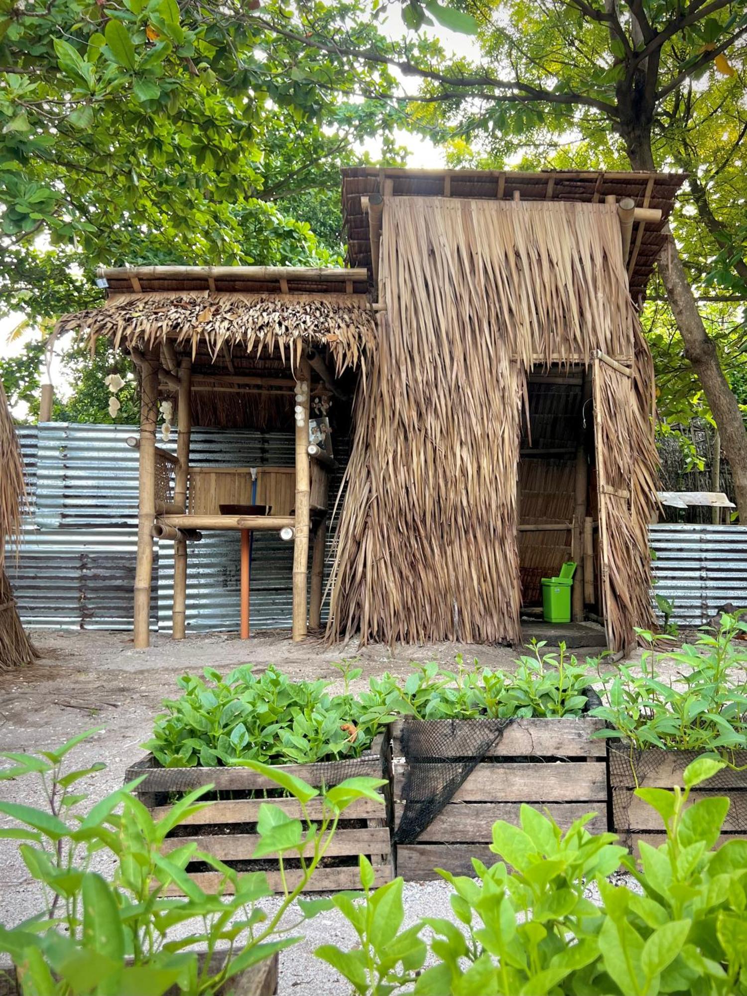 Daanbantayan Tribal Huts Communityホステル 部屋 写真