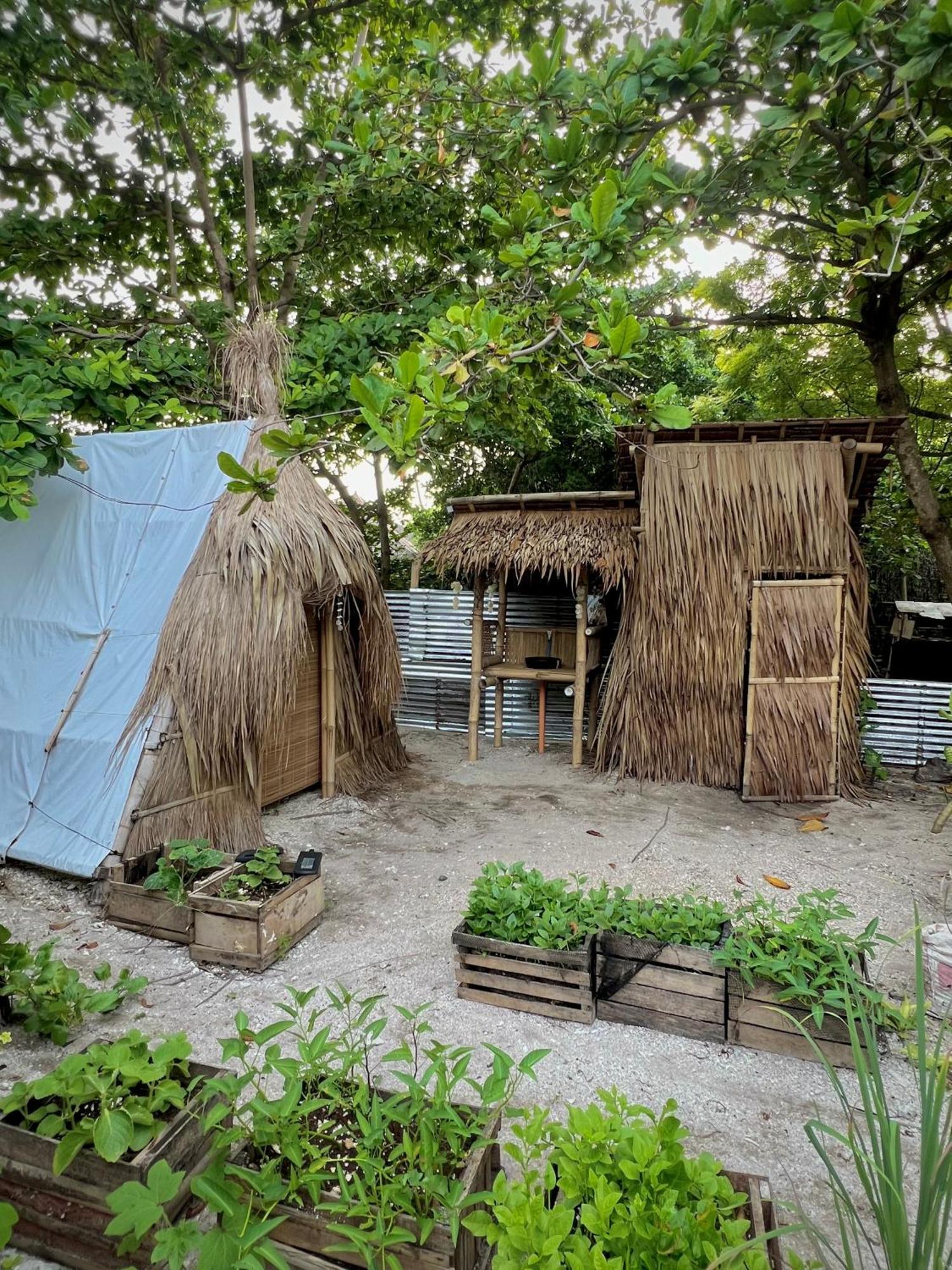 Daanbantayan Tribal Huts Communityホステル エクステリア 写真