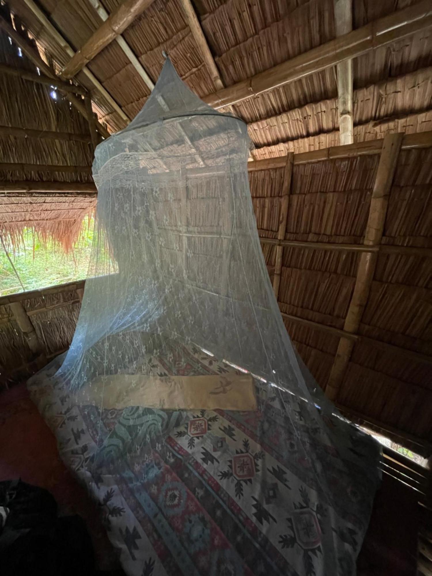 Daanbantayan Tribal Huts Communityホステル 部屋 写真